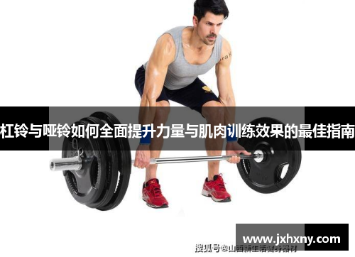 杠铃与哑铃如何全面提升力量与肌肉训练效果的最佳指南