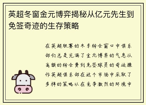 英超冬窗金元博弈揭秘从亿元先生到免签奇迹的生存策略