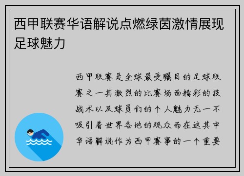西甲联赛华语解说点燃绿茵激情展现足球魅力